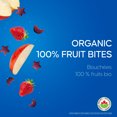 thumbnail image 3 of SunRype Organic Fruit Bites Apple Strawberry, 3 of 7