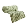 thumbnail image 1 of Couverture Rafraîchissante 28x39 Pouces Couverture d'Été pour Enfants Couche Simple Tour Couverture de Couleur Unie Petites Couvertures et Jetés Doux Couverture Peluche Réversible pour Canapé Lit Sofa, Choix de Cadeau Idéal, 1 of 9