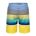 thumbnail image 3 of Rokka&Rolla Boys' Swim Trunks with Mesh Lining, UPF 50+ Sizes 4-18, 3 of 7
