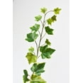 thumbnail image 3 of 25" Faux  Variegated Green Ivy Stem, 3 of 5