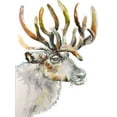 thumbnail image 2 of Debs, Emma Catherine 19x24 Gold Ornate Wood Framed with Double Matting Museum Art Print Titled - Moose on White, 2 of 4