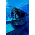 thumbnail image 2 of A freediver descends to the USS Kittiwake  Grand Cayman  Cayman Islands Poster Print by Jennifer Idol/Stocktrek Images (, 2 of 2