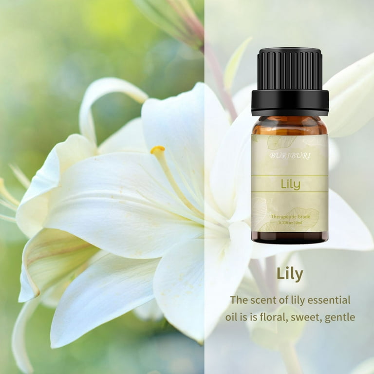 100 mL Lily Essential Oil at Rs 779/bottle in New Delhi