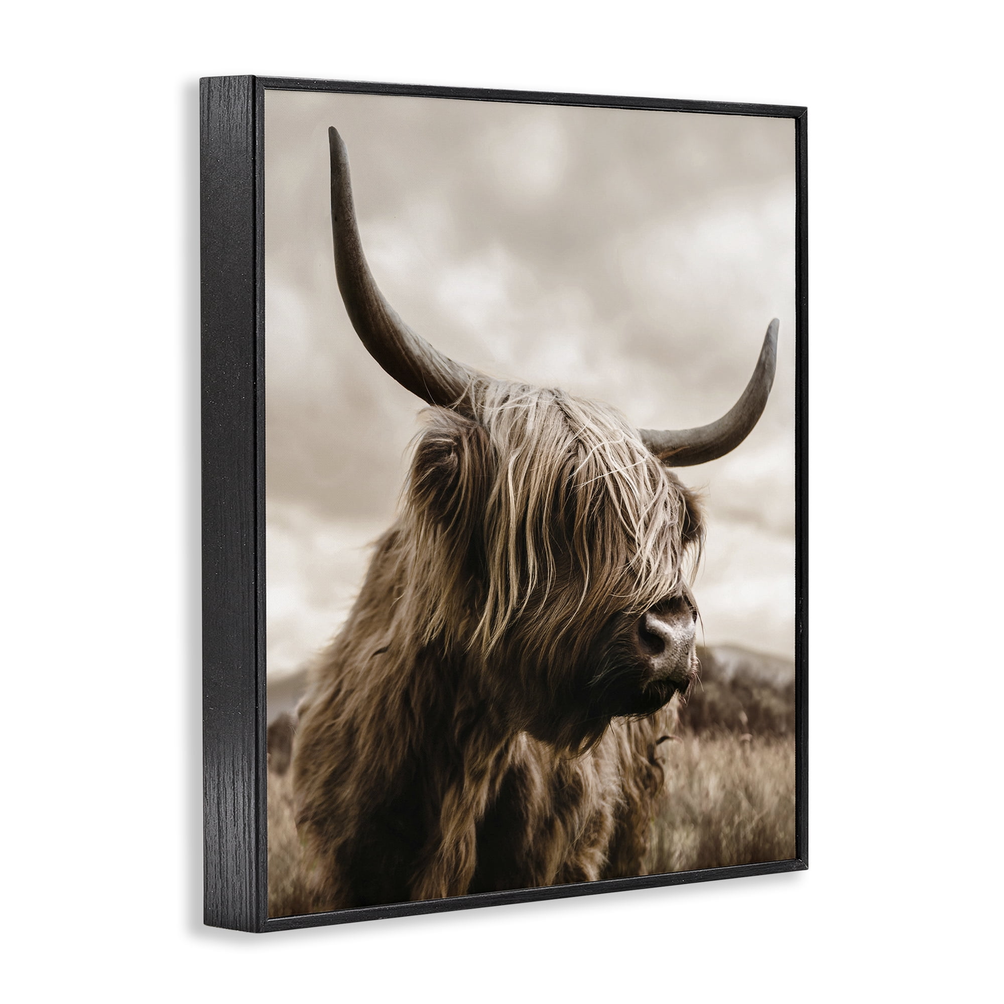 Stupell Industries Highland Cow on Windswept Moor Black Framed Giclee Art, design by CAD Designs