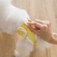 thumbnail image 3 of Reusable Washable Female Dog Diapers,adjustable Size Puppy Diapers For Dog Period Panties For Doggy Female In Period, 3 of 5