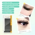 thumbnail image 2 of NAGARAKU 6D W Eyelash W Shape Premade Fans Eyelash Extensions Matte Black 0.07C17, 2 of 8