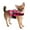 Magenta Pink, variant on New Doggy Life Jacket-nylon paws Aboard F1600 XL Weight 90 Ibs & Up Orange Flame "Bad to the bone"