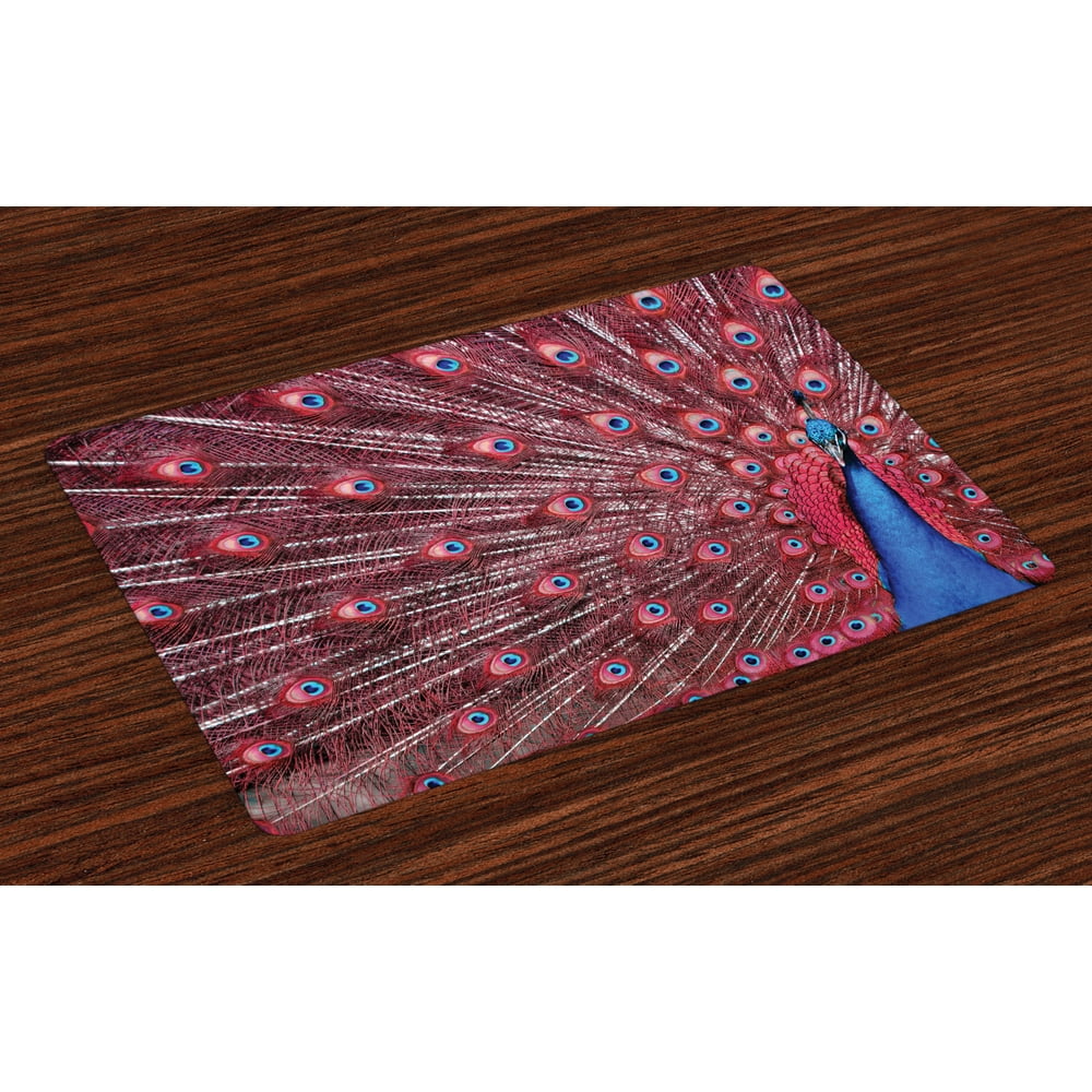 Peacock Placemats Set of 4 A Beautiful Male Displays His Plumage
