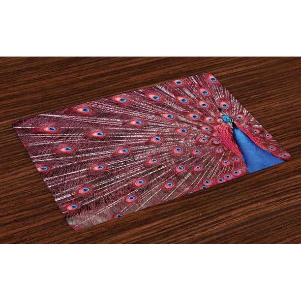 Peacock Placemats Set of 4 A Beautiful Male Displays His Plumage