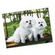 thumbnail image 1 of costura hecha a mano DIY de de impresos precisos Diseño de 45 * 36 cm Decoración Macarena Kits de punto de cruz para perros estampados, 1 of 8