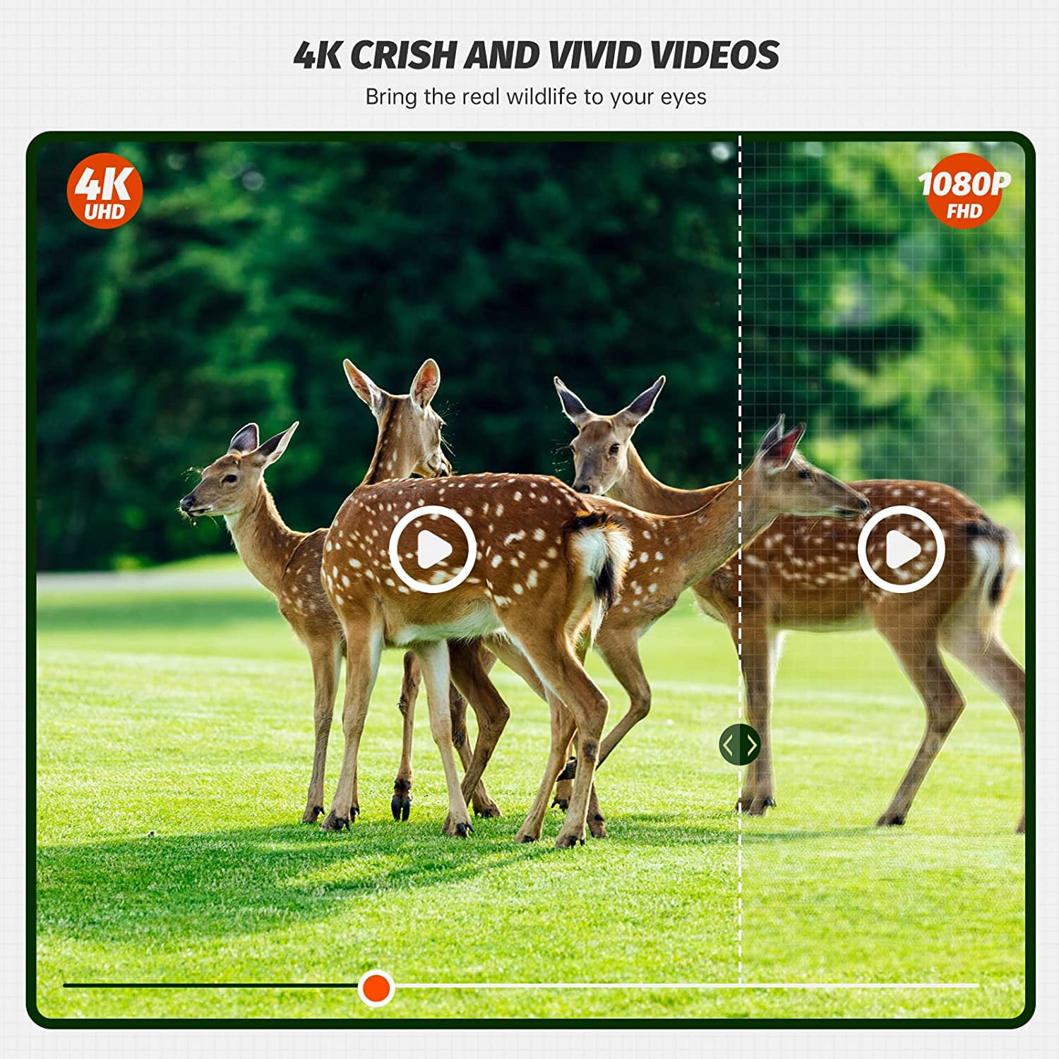 CAMPARK WiFi Bluetooth Trail Camera 30MP 4K Deer Game Camera Night Vision Motion Activated 3 PIR LEDs 120°Wide Lens Hunting Wildlife Camera Waterproof IP66 Hunting Trail Monitors