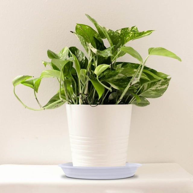 Plateau Circulaire Épaissi pour Soucoupe de Pot Usage Intérieur Extérieur