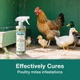 thumbnail image 4 of EcoVenger Mite Killer 16 OZ Spray, Kills Dust Mites, Scabies, Bird Mites, Chiggers, Poultry Mites, Spider Mites for Residential, Plant, Animals & Birds, Plant-Based and Non-Toxic, 4 of 7