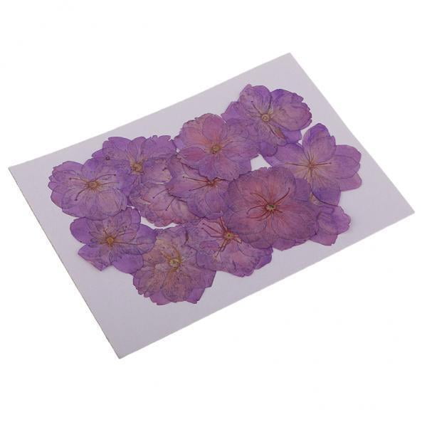 Paquete de 2-4 Unidades de flores prensadas y secas Moradas Soledad 12 piezas