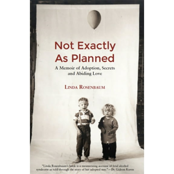 Not Exactly as Plaaned: A memoir of Adoption, Secrets and Abiding Love (Paperback)