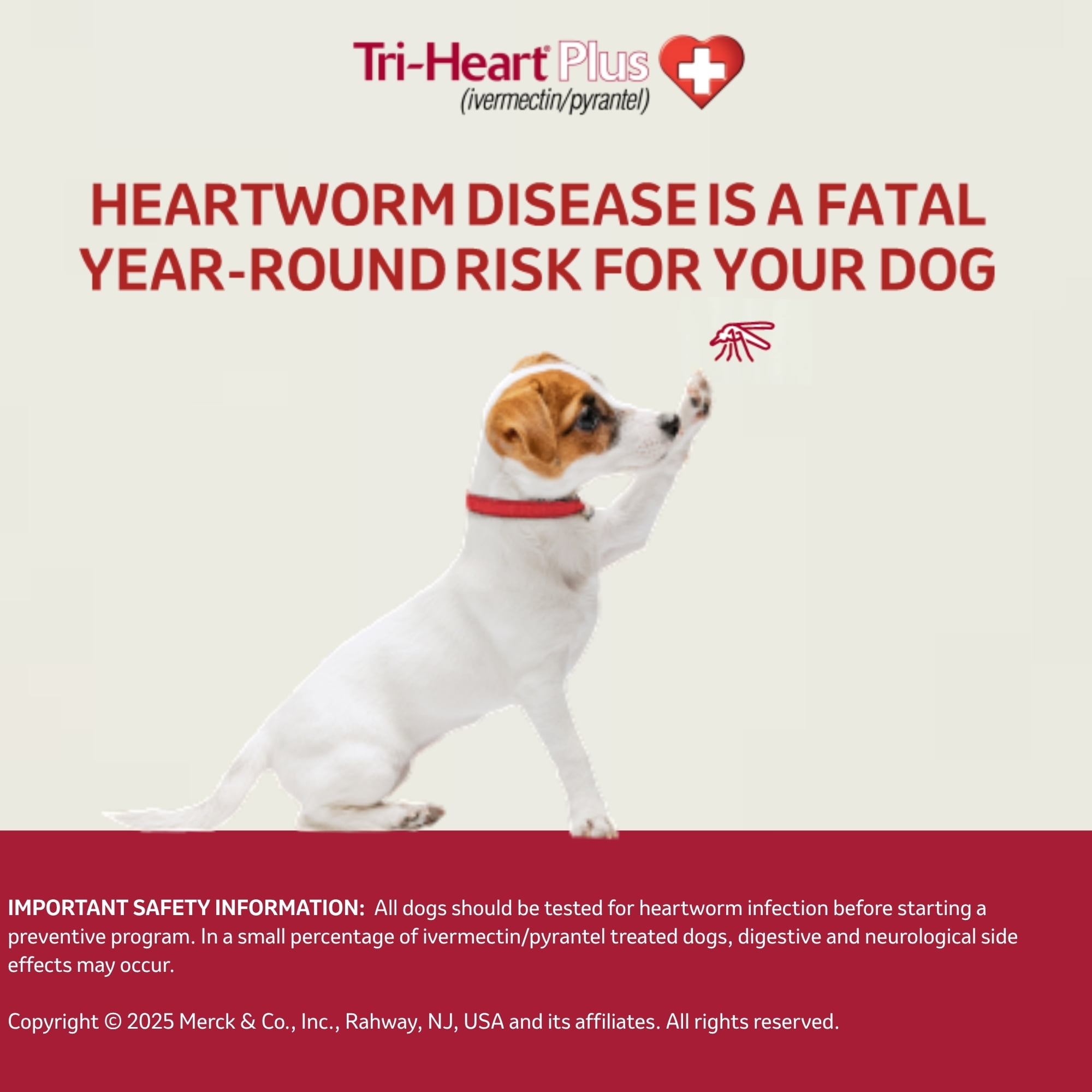 Tri-Heart Plus Chewable Tablet for Dogs, 26-50 lbs, (Green Box)