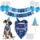thumbnail image 1 of Bandana de cumpleaños para perros, sombrero de cumpleaños para perros, bufandas, globo de bandera con lindos suministros para fiestas de cumpleaños para perros, decoraciones (juego de 11 pie, 1 of 5