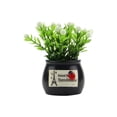 thumbnail image 1 of Feltree Hot Selling Simulation Flower Plant Fruit Potted Car Perfume Seat Perfume Flower Pot Decoration, 1 of 7
