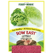 Ferry-Morse SOW Easy Lettuce Black Seeded Simpson Vegetable Plant Seeds Packet - Seed Gardening, Full Sunlight