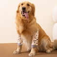 thumbnail image 6 of Pet Recovery Sleeve for Dog Elbow and Knee Joints Injuries Prevent Elbow Brace Soft Padded Dog Front Leg Soft Hock Brace, 6 of 10