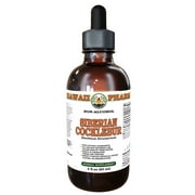Siberian Cocklebur (Xanthium Strumarium) Dry Fruit Liquid Extract Tincture. Expertly Extracted by Trusted HawaiiPharm Brand. Absolutely Natural. Proudly made in USA. Tincture 2 Fl.Oz