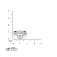 thumbnail image 5 of Auory Elegant Moissanite Rose Gold Plated Double Halo Ring for Her, 5 of 10