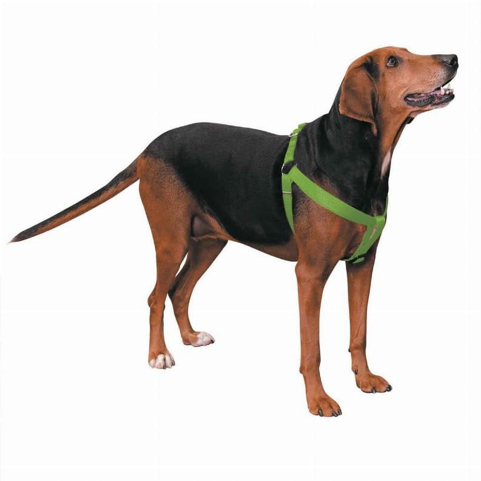 Casual Canine ZA807 25 29 25-40 in. Nylon 2 Step Dog Harness, Green