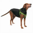 thumbnail image 3 of Casual Canine ZA807 15 29 15-25 in. Nylon 2 Step Dog Harness, Green, 3 of 3