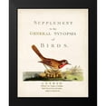 thumbnail image 2 of Latham, John 15x18 Black Modern Framed Museum Art Print Titled - General Synopsis of Birds, 2 of 5