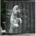 thumbnail image 3 of Ambesonne Black White Shower Curtain, Exotic White Tiger, 69"Wx84"L, Charcoal Grey Pale Grey, 3 of 4