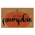 thumbnail image 1 of Big Sale ! Nomeni Carpet,Polyester Carpet,Decor Welcome Mat Pumpkin Doormat Door Rug Mat Fall Decor Pumpkin Fall Decor, 1 of 9