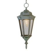 Trans Globe Lighting 4097 1 Light Down Lighting Outdoor Pendant From The Outdoor