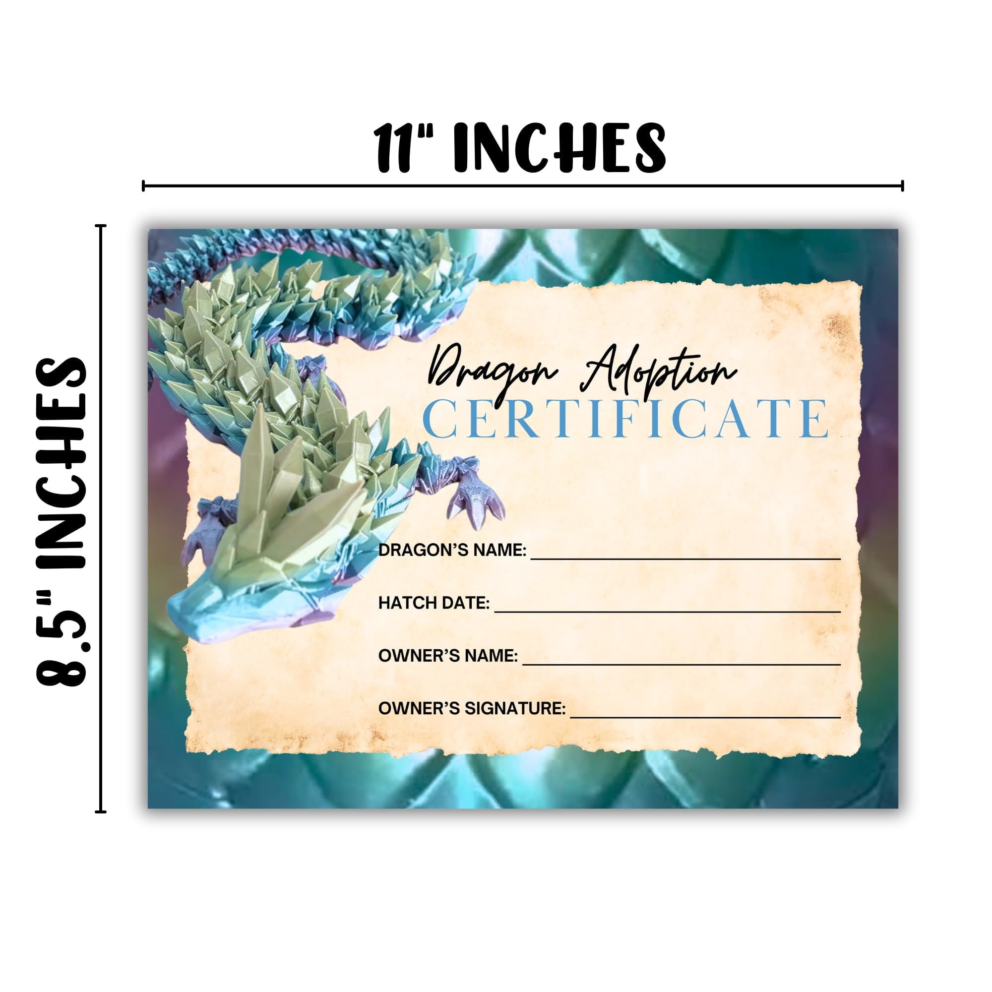 Dragon Adoption Certificate 30 pk 8.5x11 for Use with 3D Printed Egg File Fidget with Wings Colorful Paper Adopt a Dragon for Printers DIY Sellers - Walmart.com dragon-adoption-certificate-30-pk-8-5x11-for-use-with-3d-printed-egg-file-fidget-with-wings-colorful-paper-adopt-a-dragon-for-printers-diy-sellers-walmart-com