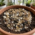 thumbnail image 5 of Succulent Rocks, 6-9mm Colorful Polished Pebbles for Indoor Plants, 350g Decorative River Rocks for Plants Indoor, Vase Fillers, Cactus Planters, Bird Bath, Fountain, Outdoor Garden Landscaping, 5 of 9