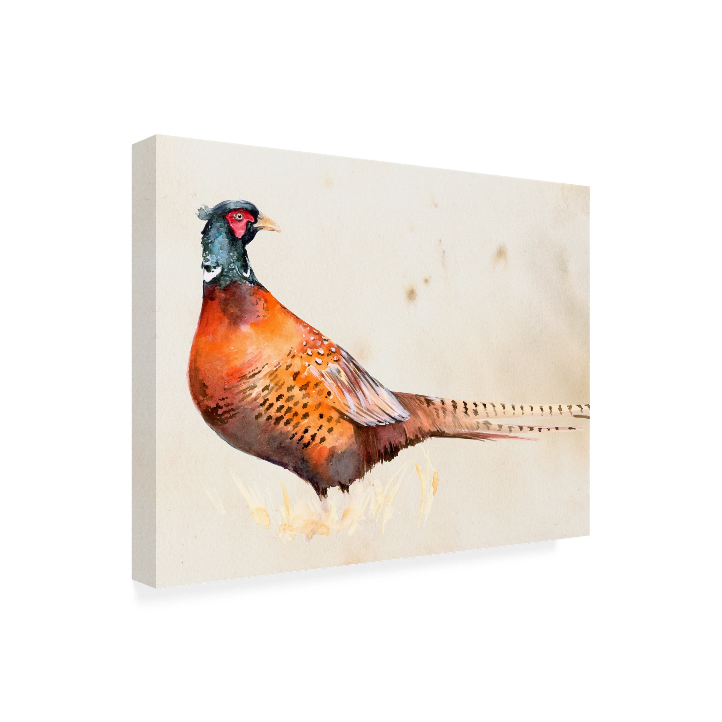 Jennifer Paxton Parker 'Pheasantry II' Canvas Art