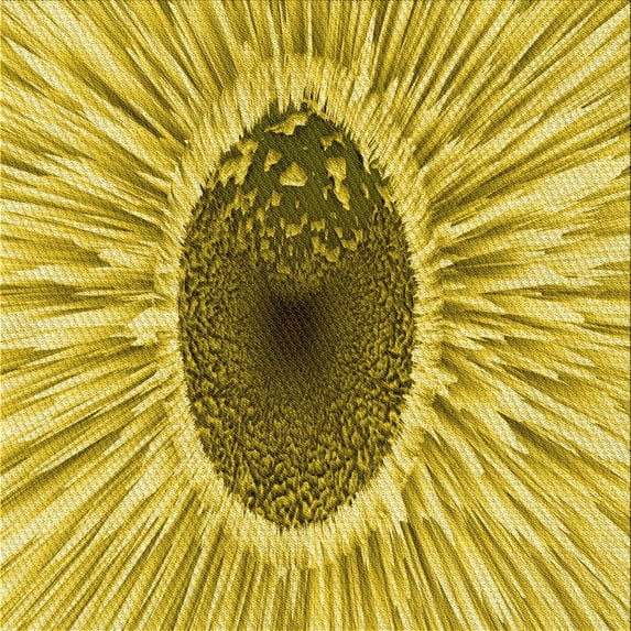 Ahgly Company Indoor Square Patterned Bright Gold Yellow Area Rugs, 6' Square