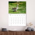 thumbnail image 3 of Grey geese in native environment (Monthly Wall Calendar 2026 16.5 x 23.4 (open)), CALVENDO 14 Month Calendar, 3 of 9