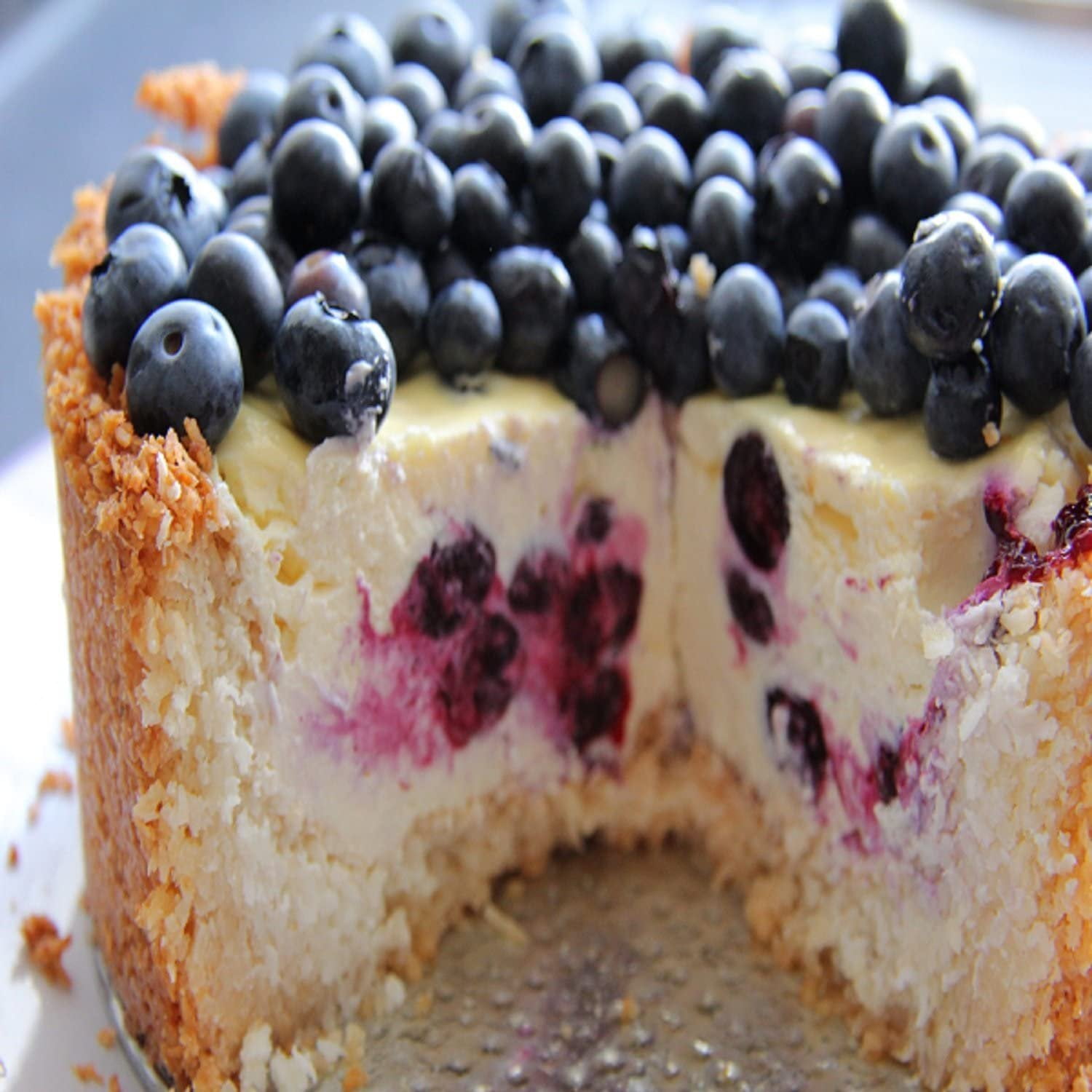 Blueberry Cheesecake Fragrance Oil 16 oz Bottle for Candle Making, Soap Making, Tart Making, Room Sprays, Lotions, Car Fresheners, Slime, Bath Bombs, Warmers