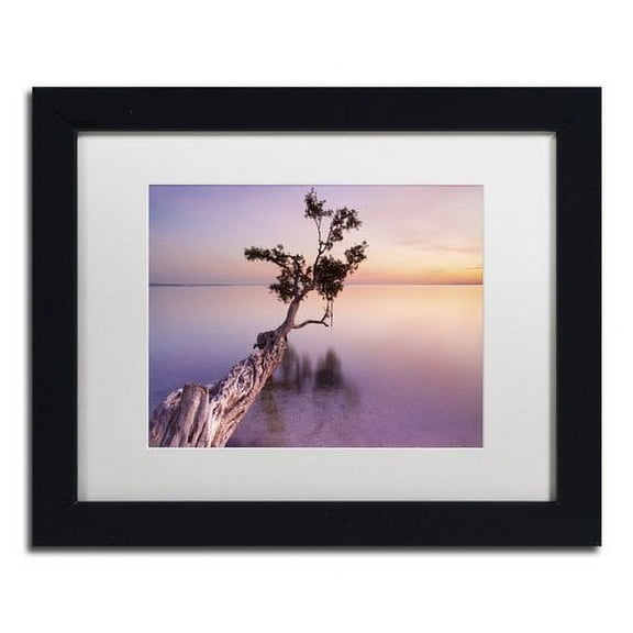 Trademark Fine Art "Water Tree XI" Canvas Art by Moises Levy White Matte, Black Frame
