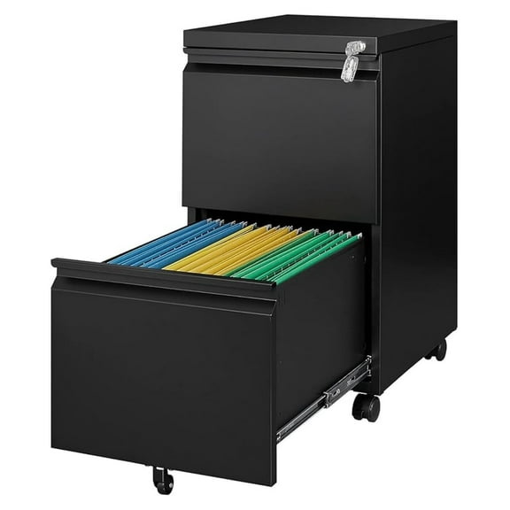 WDZS 2 Drawer Mobile File Cabinet with Lock, Under Desk Metal Rolling Filing Cabinets for Home Office Organizer Letters/Legal/A4 (Black- Requires Installation)