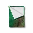 thumbnail image 2 of Aurora Borealis Soft Flannel Fleece Throw Blanket, Snowy Frozen Road Path Between Leafless Trees Finland Park, Cozy Plush for Indoor and Outdoor Use, 70" x 90", Jade Green Brown White, by Ambesonne, 2 of 6