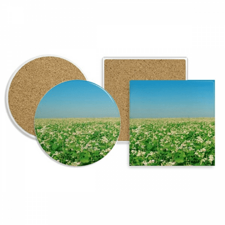 

Sky Green Forestry Science Nature Scenery Coaster Cup Mug Holder Absorbent Stone Cork Base Set