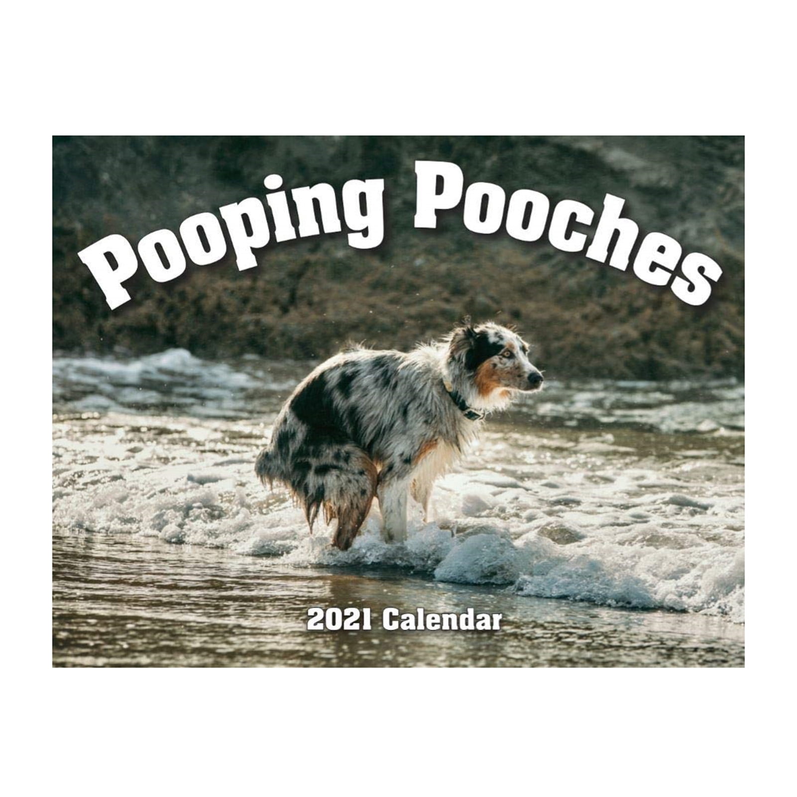 Pooping Pooches White Elephant Gag Gift Calendar Dogs Calendar For White  Elephant Party Year All | Walmart Canada