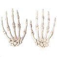 thumbnail image 2 of 2Pcs Halloween Squelette Humain Main Os Partie Hanté Maison Décoration Accessoires une Taille, 2 of 12