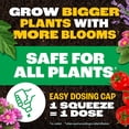 thumbnail image 3 of Pennington Easy-Dose AP Indoor Plant Food 2-3-2 Fertilizer 32oz, 3 of 12