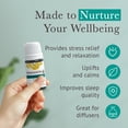 thumbnail image 4 of Pranarom Organic Essential Oil Blend 5ml Calming Lavender, Rosemary, Clary Sage, Pine, Cedarwood, Cardamom, 4 of 7