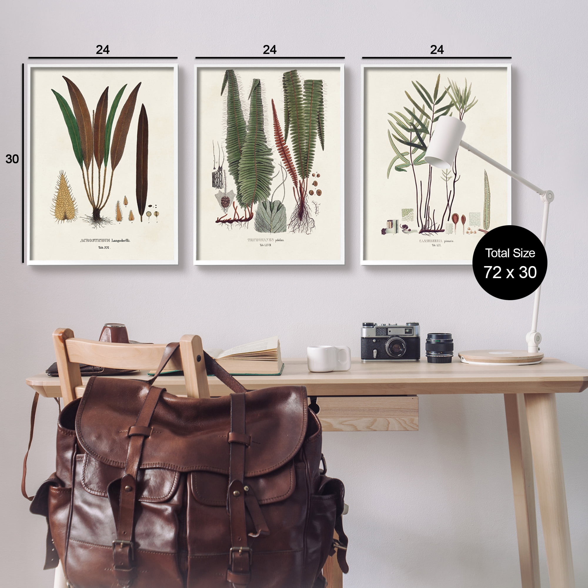 Stupell Industries Vintage Botanical Studies Botanical & Floral Painting White Framed Art Print Wall Art, 24 x 30