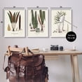 thumbnail image 4 of Stupell Industries Vintage Botanical Studies Botanical & Floral Painting White Framed Art Print Wall Art, 24 x 30, 4 of 10