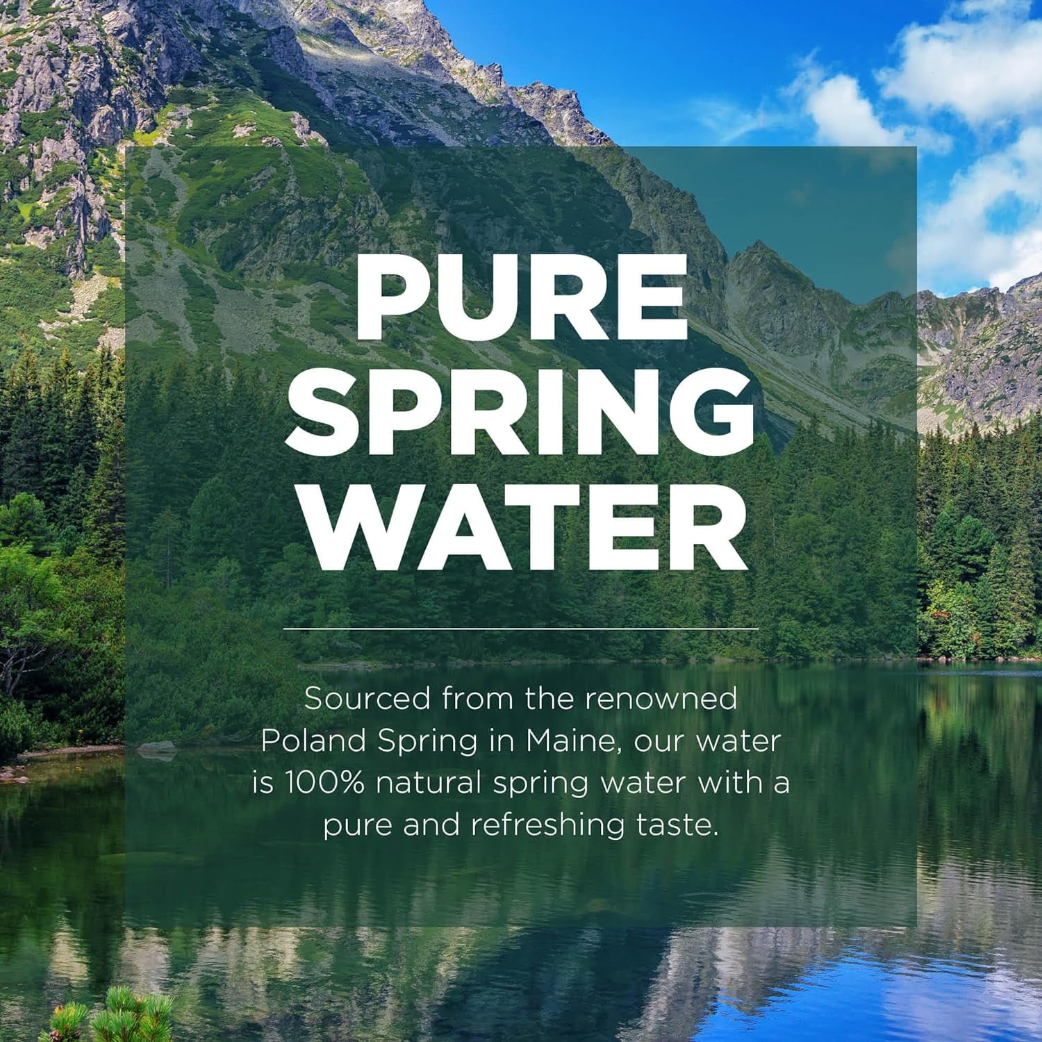Spring Water Bottles 24 Pack -  Recyclable Disposable 8 oz Mini Bottle Water