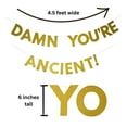 thumbnail image 6 of Cloverjoyed Damn You're Ancient Birthday Banner, Gold, Funny Party Decoration Sign, 6 of 7